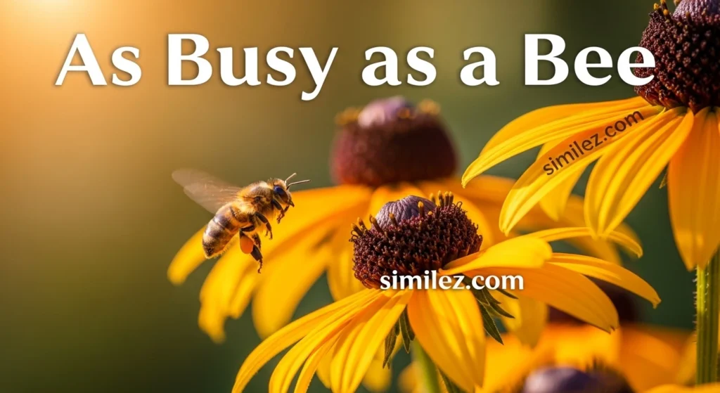 As Busy as a Bee