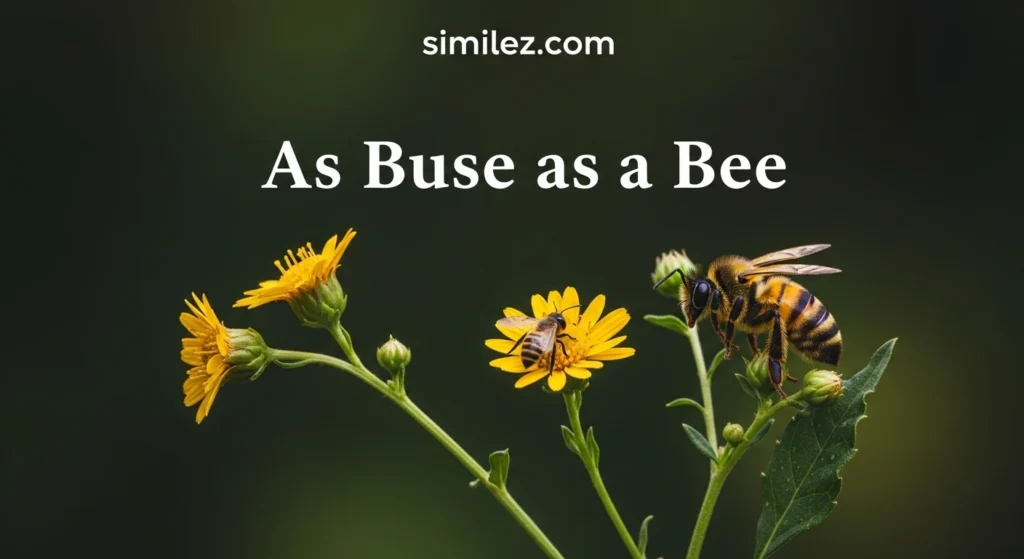 As Busy as a Bee