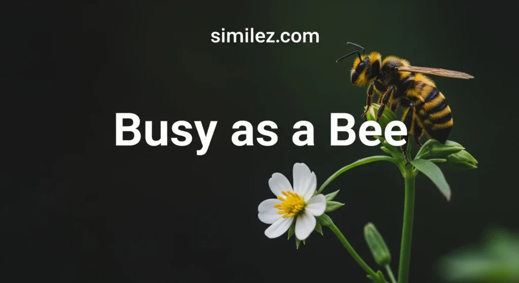 Busy as a Bee