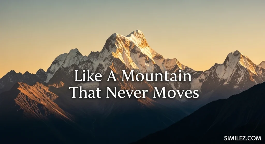 Like a Mountain That Never Moves