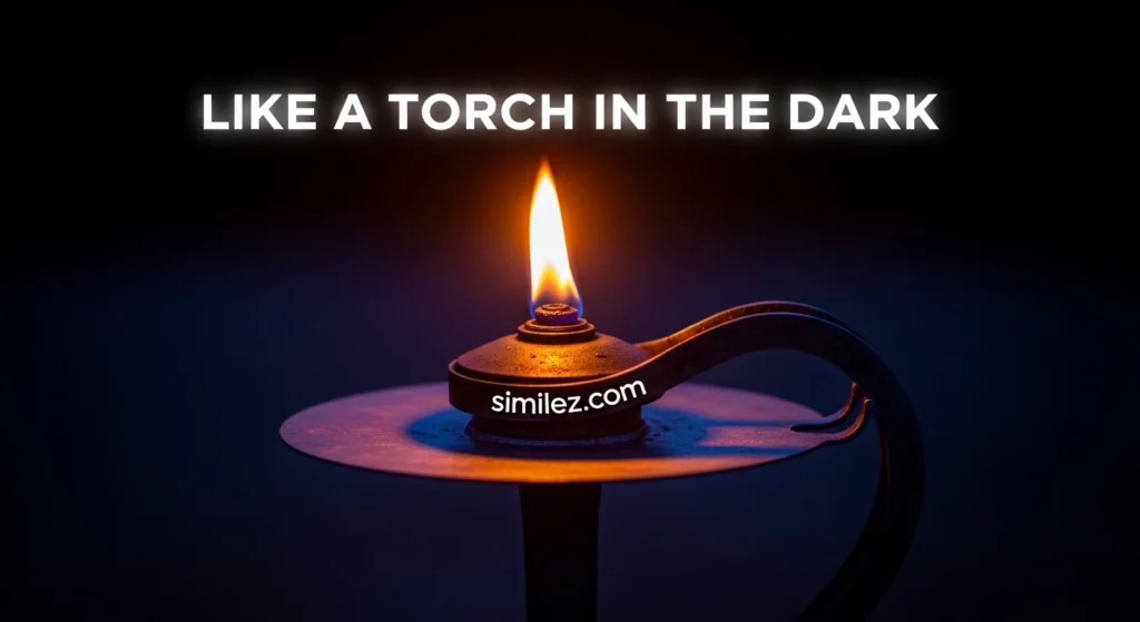Like a Torch in the Dark