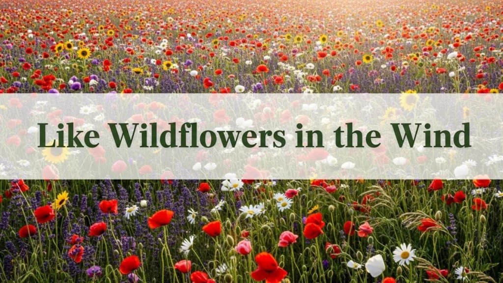 Like Wildflowers in the Wind