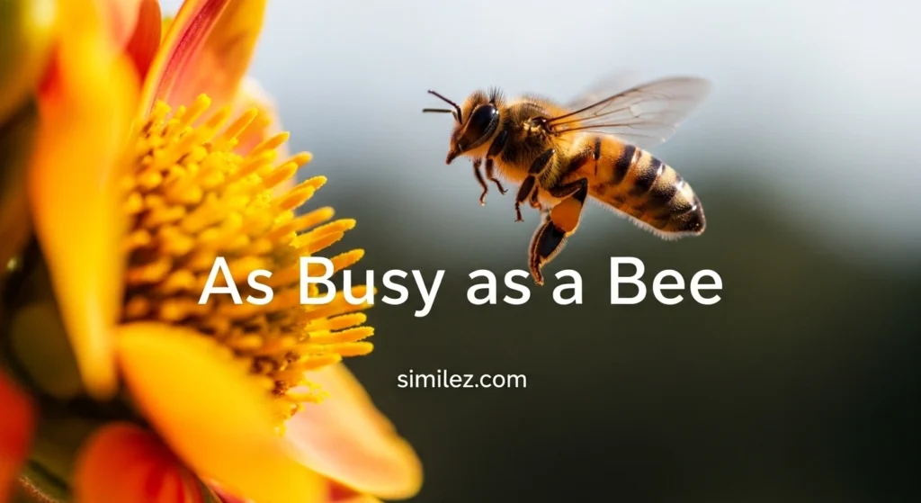 As Busy as a Bee