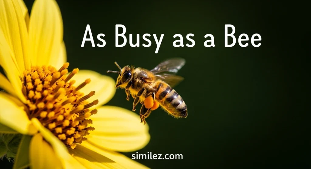 As Busy as a Bee