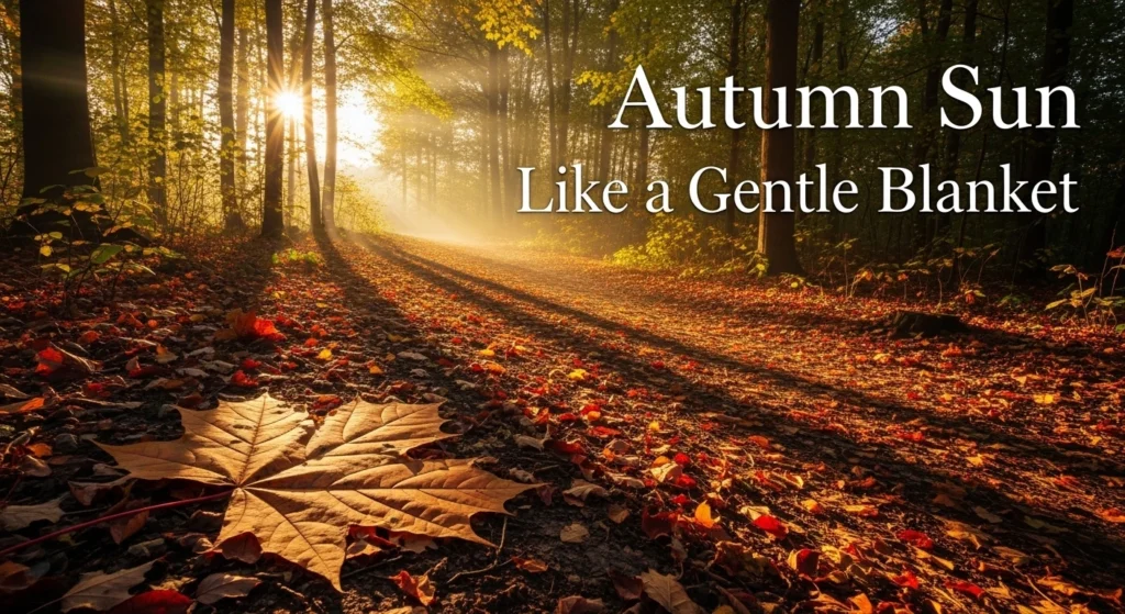 Autumn Sun Like a Gentle Blanket