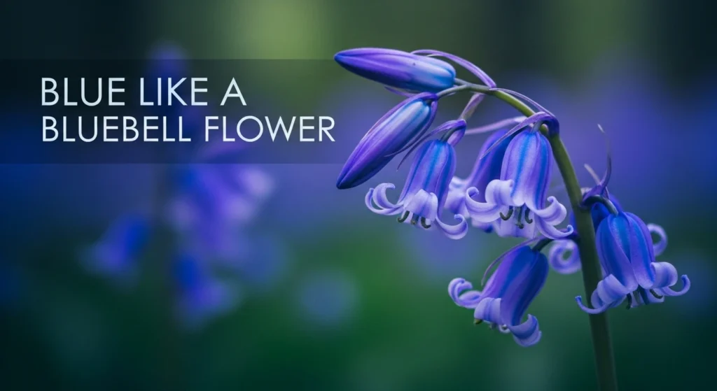 Blue Like a Bluebell Flower