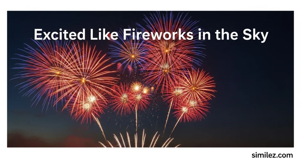Excited Like Fireworks in the Sky