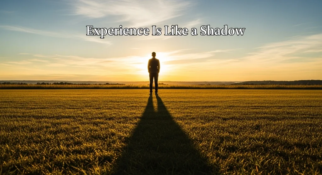 Experience Is Like a Shadow
