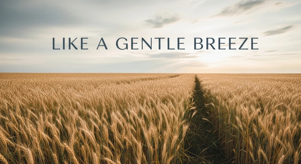 Like a Gentle Breeze