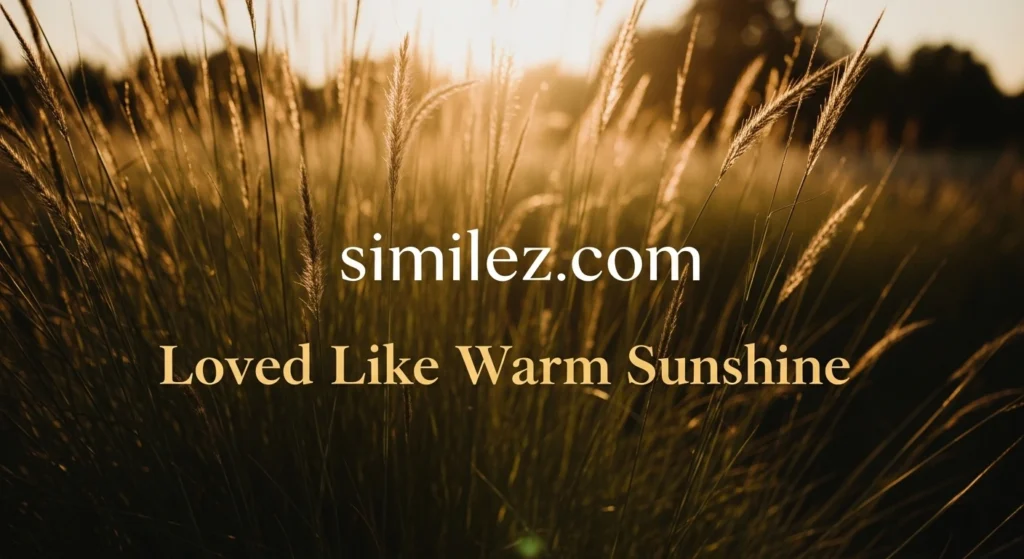 Loved Like Warm Sunshine
