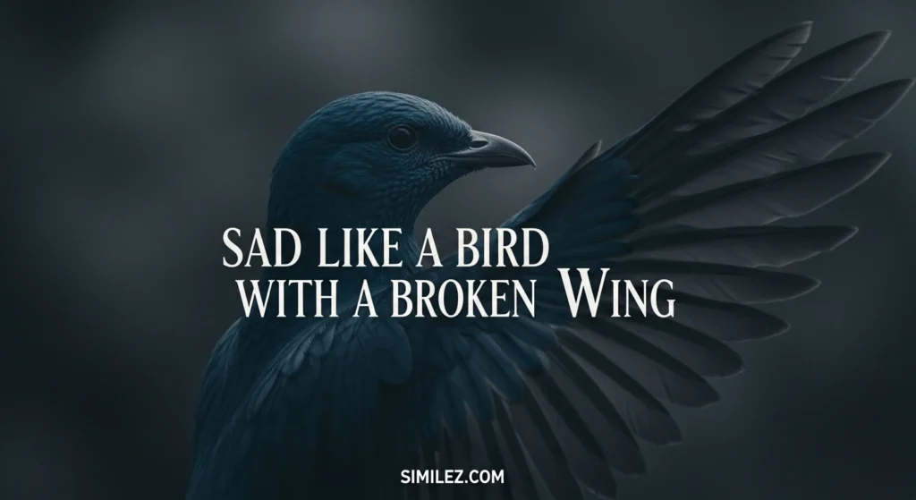 Sad Like a Bird with a Broken Wing