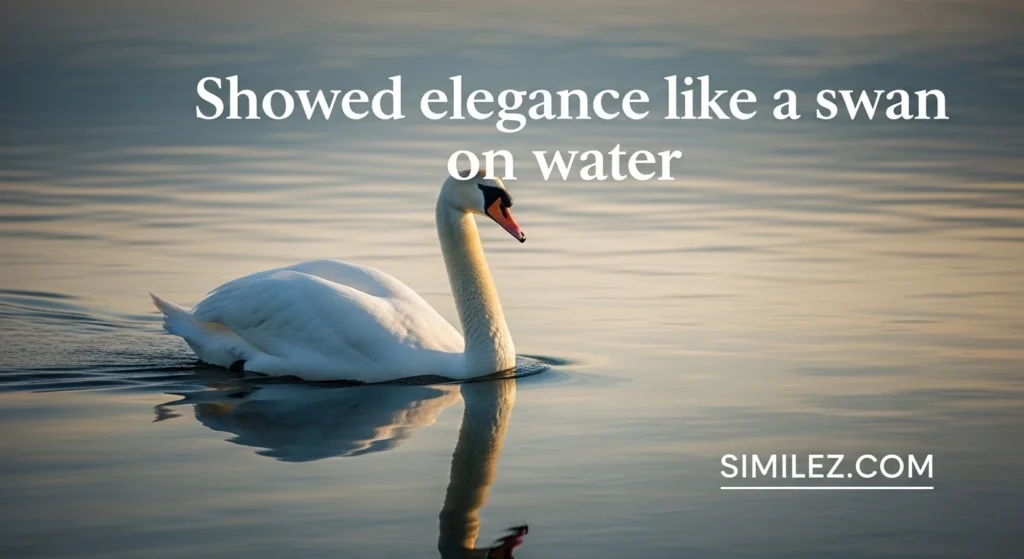 Showed elegance like a swan on water