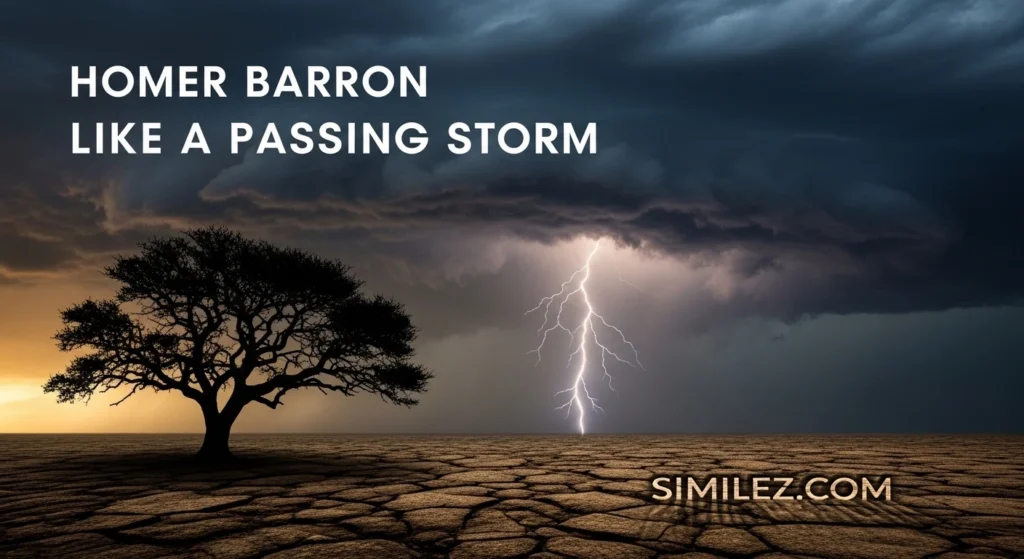 Homer Barron Like a Passing Storm