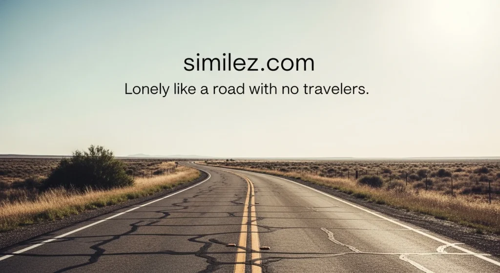 Lonely like a road with no travelers