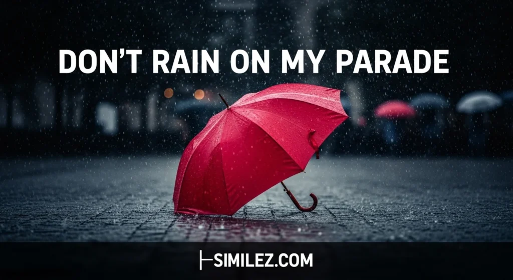 Don’t Rain on My Parade