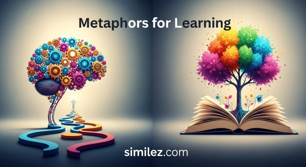 Metaphors for Learning