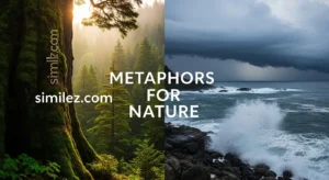 Metaphors for Nature