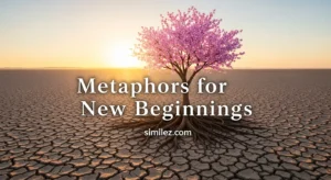 Metaphors for New