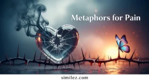 Metaphors for Pain