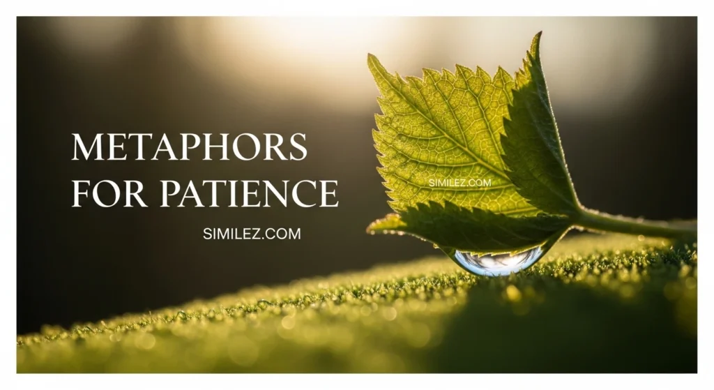 Metaphors for Patience