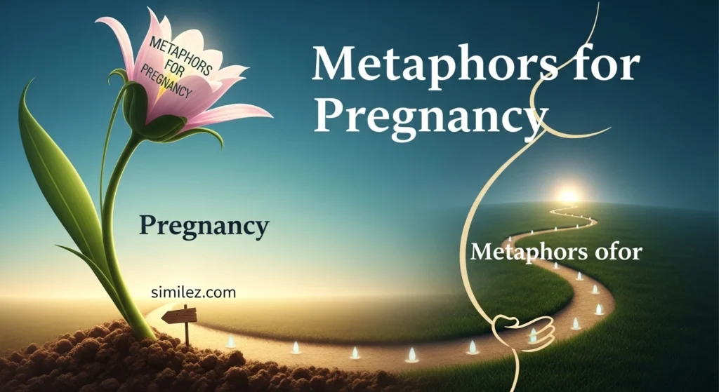 Metaphors for Pregnancy