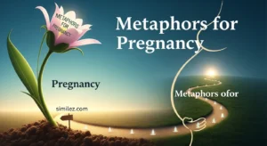 Metaphors for Pregnancy