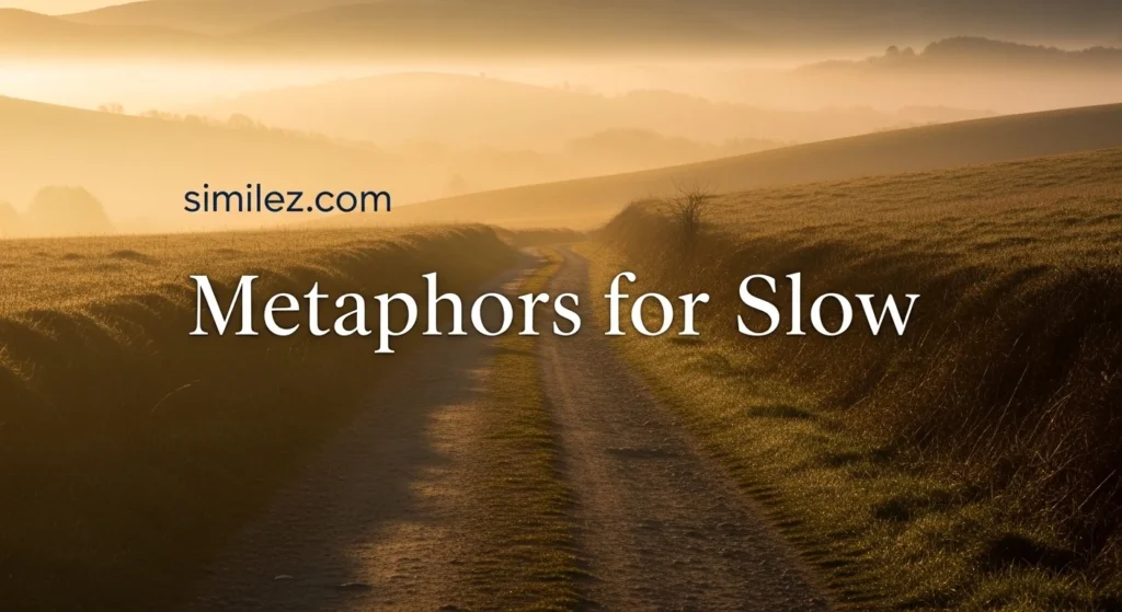 Metaphors for Slow