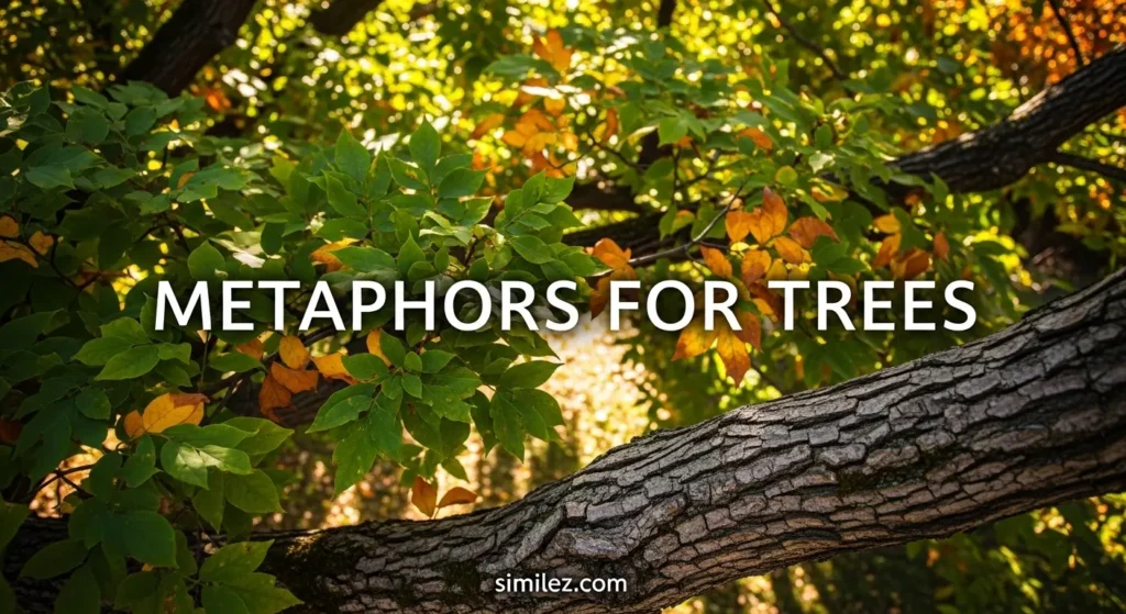 Metaphors for Trees