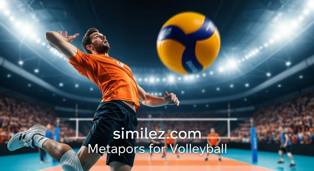 Metaphors for Volleyball