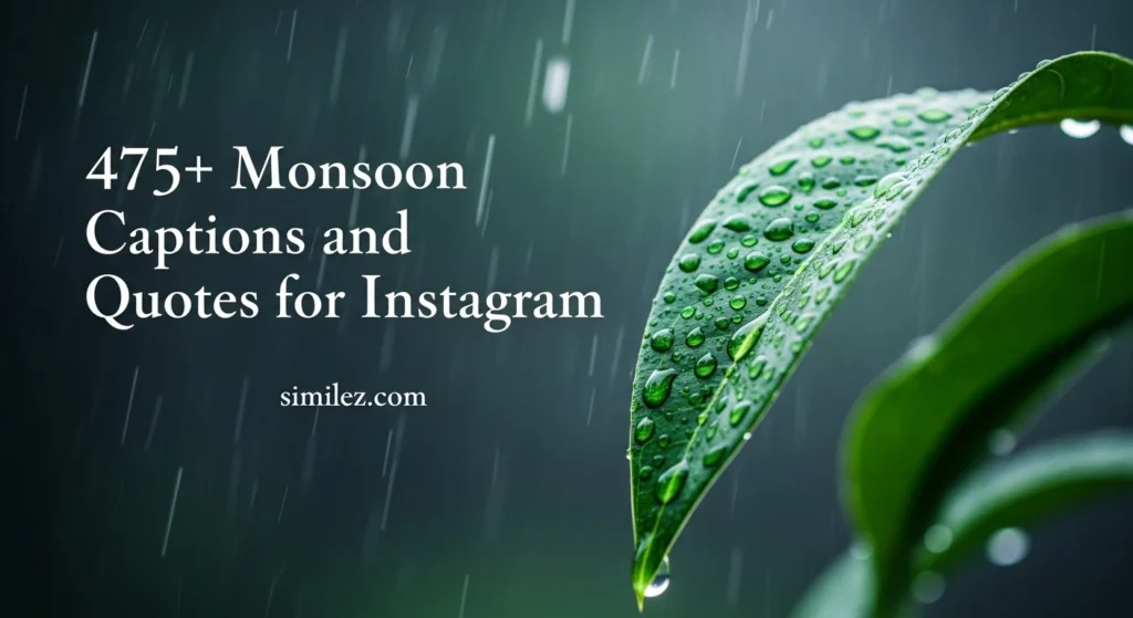 475+ Moonsoon captions and quotes for instagram