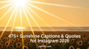 475+ Sunshine Captions & Quotes for Instagram 2026