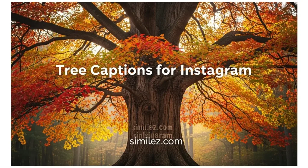 Tree Captions for Instagram