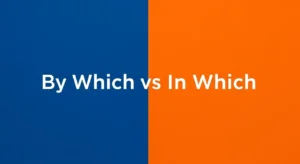 By Which vs In Which